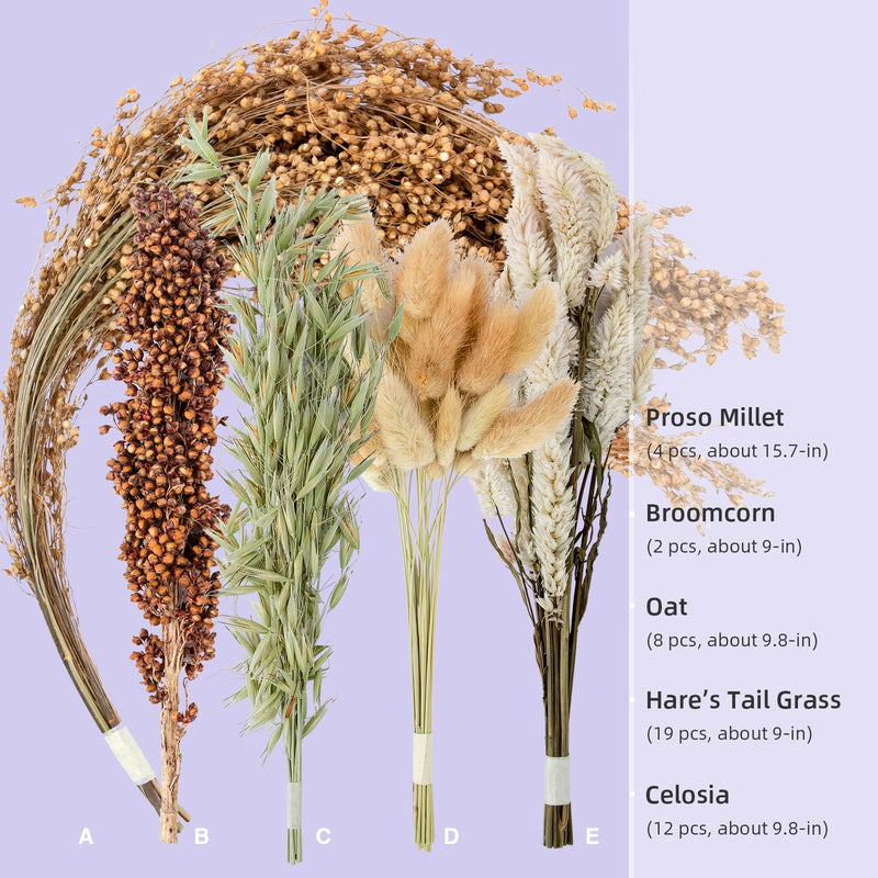 Niteangel Natural Flower & Herb Hamster Bedding Mate - Habitat Decor for Hamsters Gerbils Mice Lemming Degus or other Small Pets (Harvest Wind - Natural Poem Version) Harvest Wind - Natural Poem Version - PawsPlanet Australia
