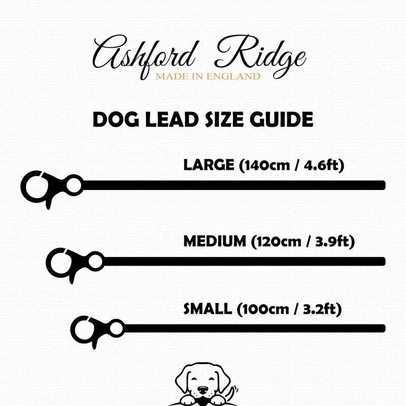 Ashford Ridge Full Grain Leather Dog Lead, Made in England - Antique Brown Small (1m) Small (1m) - PawsPlanet Australia