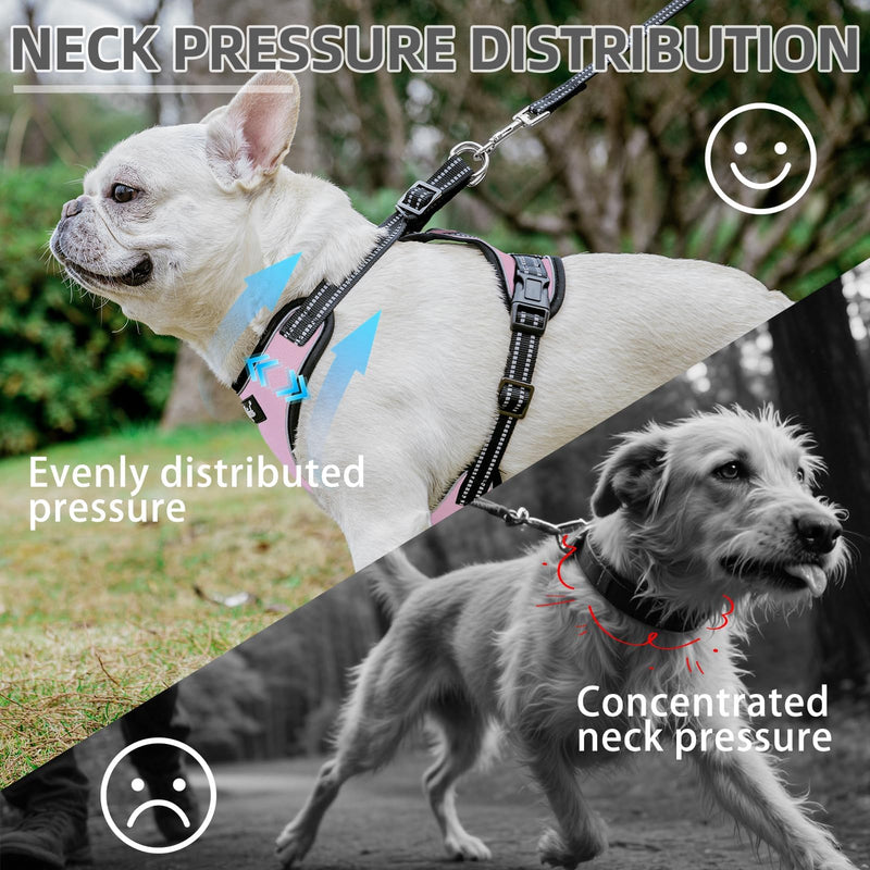 PUPTECK Dog Harness and Leash Set Small Sized, Adjustable Reflective Escape Proof Puppy Vest, No Pull Walking Harness Easy Control S (6-14lb, NECK 15", CHEST 14"-17") Pink - PawsPlanet Australia
