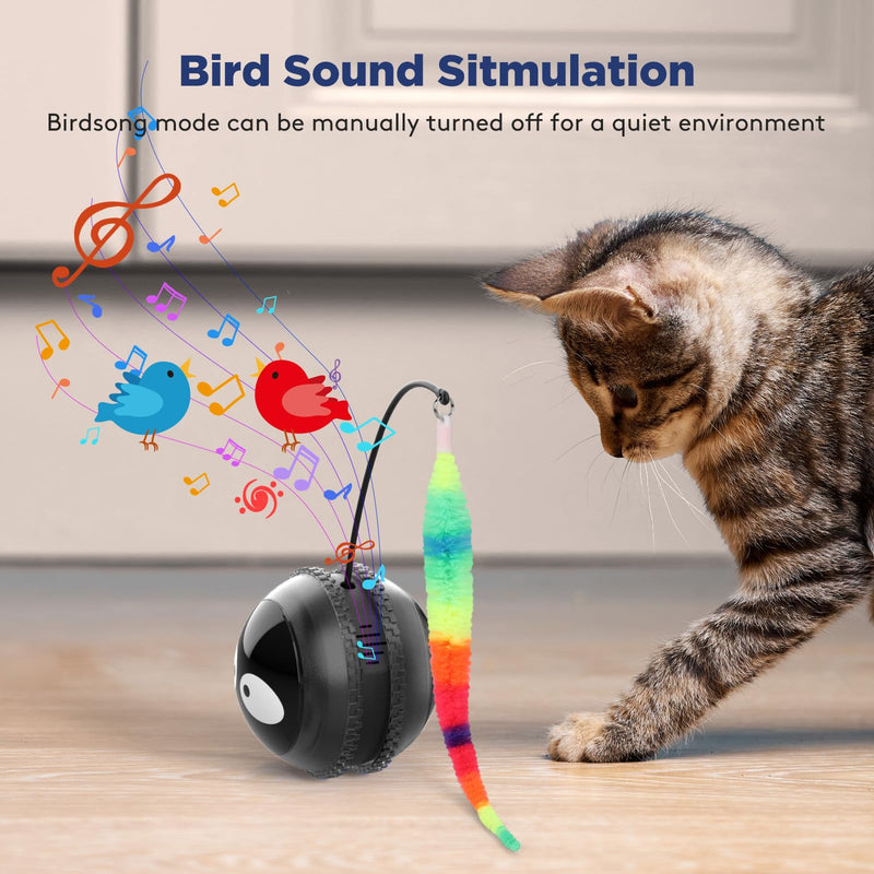 Cat Toys for Indoor Cats, Innovative Interactive Cat Toy Ball with Bird Chirping, USB Rechargeable Automatic Exercise Rolling Cat Toy for Bored Indoor Adult Cats Kittens, Black - PawsPlanet Australia