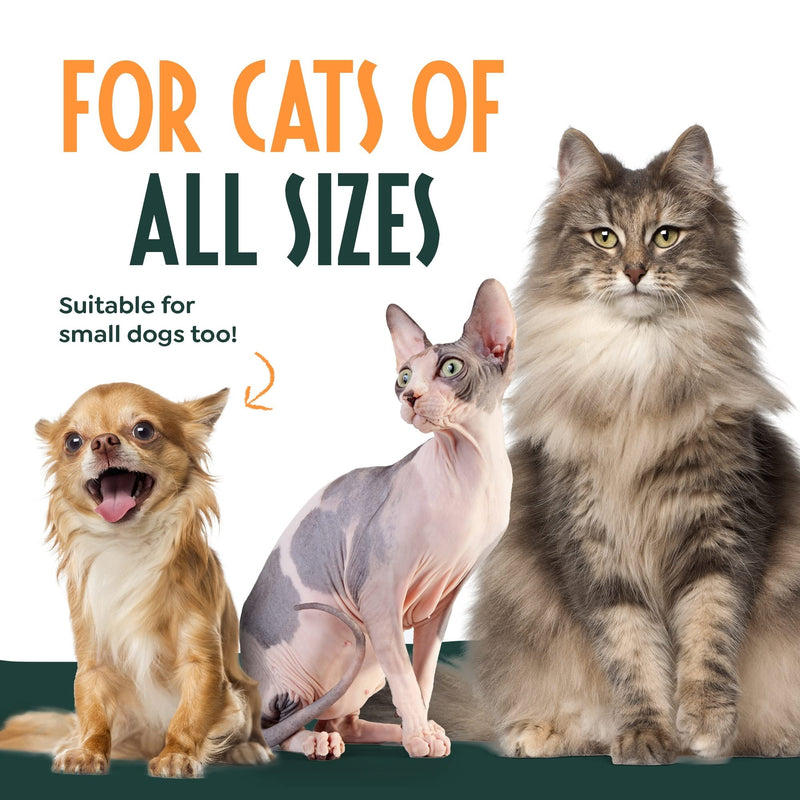 PetSafe Drinkwell Ultra Quiet 2.4L Cat & Dog Water Fountain with Triple Filter - PawsPlanet Australia