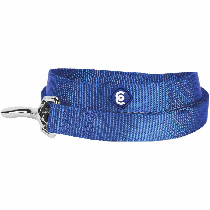 Blueberry Pet Essentials Matching Martingale Dog Collar and Leash Set in Marina Blue, Heavy Duty Nylon Adjustable Collars with 4 ft Leash for Large Dogs Marina Blue - Martingale Collar + Leash - PawsPlanet Australia