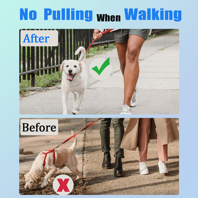 Prong Training Collar for Dogs, No Pull Collar Adjustable Dog Pinch Collar with Quick Release Buckle, for Small Medium Large Dogs, Extra Link and Caps (S: (13'' - 17'') 2.25mm) S: (13'' - 17'')2.25mm
