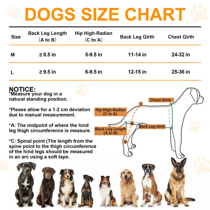 Dog Knee Brace for Rear Leg Support - Adjustable Canine Hinged Back Leg Support Warp with Hip Joint Care Reflective Strap Harness for ACL Arthritis Relief Patellar Luxation Injured Dog (M) M