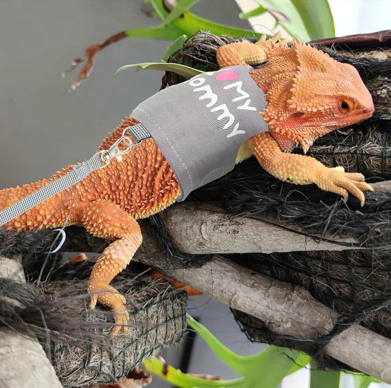 Bearded Dragon Harness and Leash Set - Adjustable Reptile Harness with Cute Design for Small Animals | Comfortable Outdoor Walking Gear for Lizards - PawsPlanet Australia
