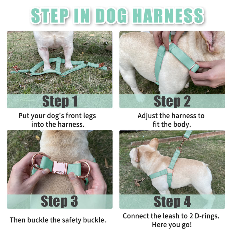 Soft Leather No Pull Dog Harness - Adjustable Step in Dog Harness with Rose Gold Heavy Duty Metal Buckle, Freedom Nylon Dog Halter Vests for Small Medium Large Dogs Easy Walking Training (Green,S) Mint Green S (Neck&Chest Girth 14"-21" x Width 0.8") - PawsPlanet Australia