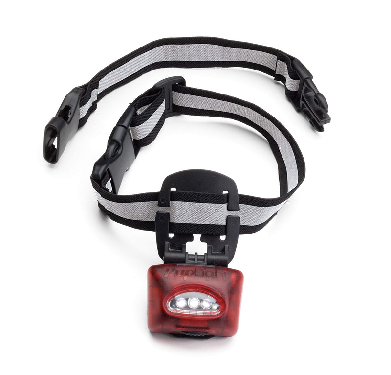 PupLight2 Twice as Bright with Reflective Dog Safety Collar, Black - PawsPlanet Australia