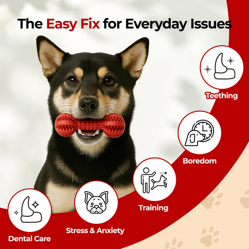 JAYU PET Toothbrush Toy Dog Chew Toy for Aggressive Chewers, Durable Dental Toy for Small & Medium Dogs, Teeth Cleaning Toy to Keep Them Busy, Remove Plaque & Tartar - PawsPlanet Australia