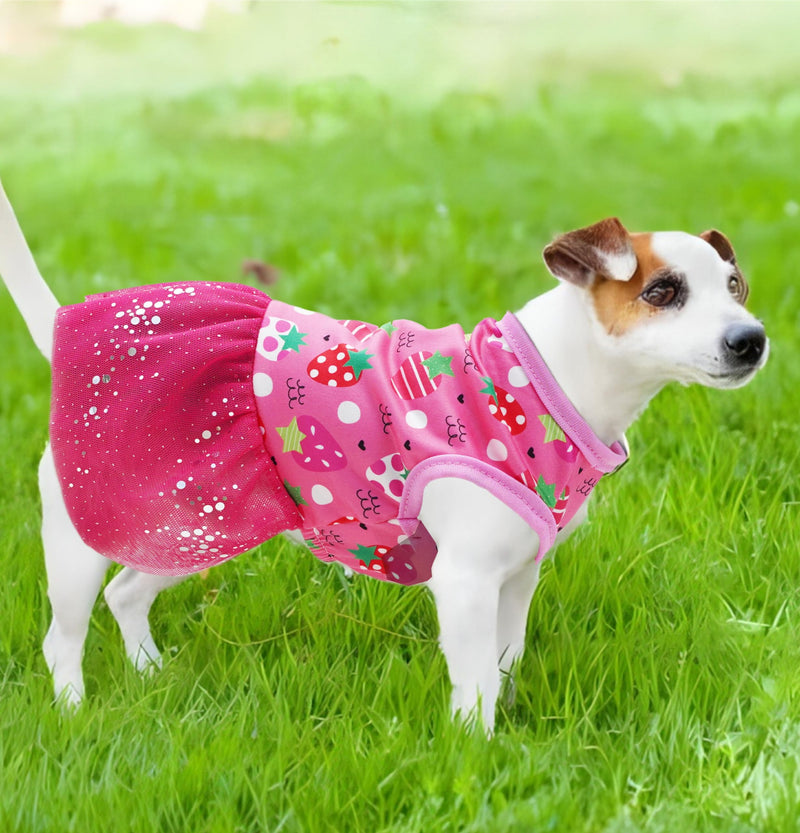3 Pieces Dog Dress Spring Summer Dog Dresses for Small Dogs Girl Soft Cute Dog Clothes Puppy Dress Clothes Female Chihuahua Yorkie Teacup Skirt Doggie Cat Outfit(Strawberry,Ice Cream,Rainbow, Small) Strawberry,Ice Cream,Rainbow - PawsPlanet Australia
