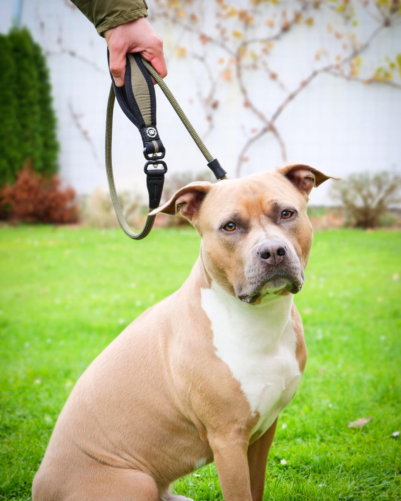 BullyBillows Anti-Pull Anti-Choking Training Dog Lead | 1.2m Active Light Dog Lead Designed With Graded Materials | Suitable For Strong Dogs | Suitable For All dog Breeds | Black