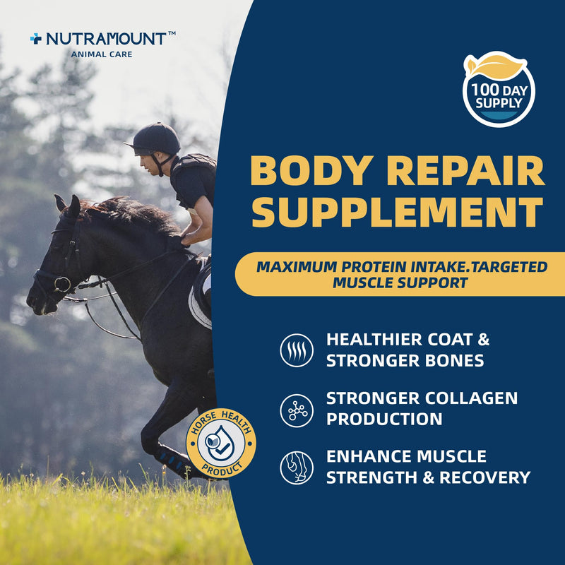 Body Repair Supplement for Horses, Amino Acids for Muscle Recovery, Protein Support & Performance-100 Day Supply Big Tub