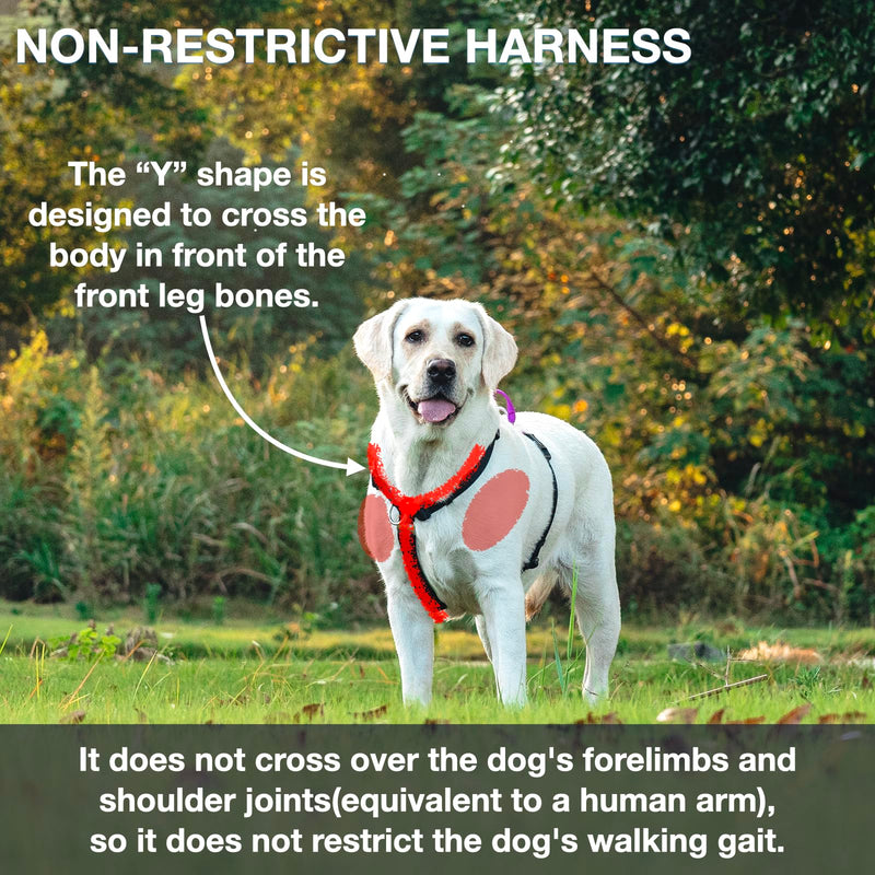 No Pull Dog Harness, Non-Restrictive Harness with Neck Buckle, Nylon Straps, Aluminum D-Rings, 6 Points Adjustment for Ultimate Fit, Easy Walking and Training (Red/Black, S) Red/Black - PawsPlanet Australia