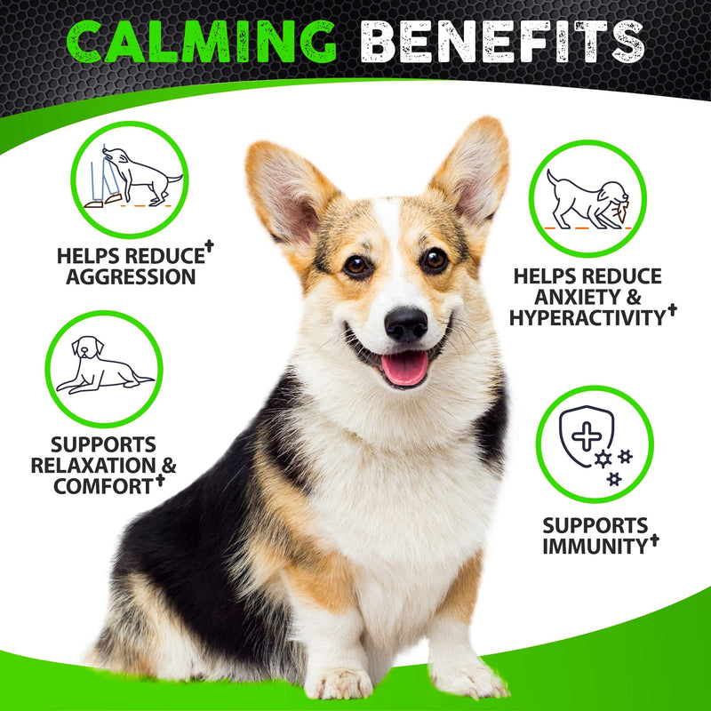 Hemp Calming Chews for Dogs with Anxiety and Stress - 170 Dog Calming Treats - Storms, Barking, Separation - Valerian Root - Melatonin - Hemp Oil - Dog Anxiety Relief - Made in USA | Soft Chews Chicken