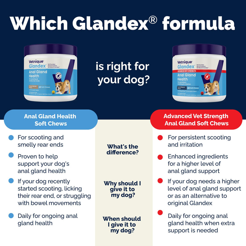 Vetnique Glandex Anal Gland Soft Chew Treats with Pumpkin for Dogs Digestive Enzymes, Probiotics Fiber Supplement for Dogs Boot The Scoot (Bacon Flavor Chews, 30 Count) Bacon Flavor Chews 30ct - PawsPlanet Australia