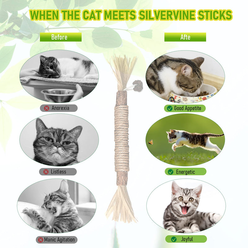 3 Pack Silvervine Cat Toy, Silvervine Sticks Cat Toys for Indoor Cats, Cat & Kitten Chew Toys for Aggressive Chewers, Cat Dental Toy for Kitten Teeth Cleaning, Matatabi Silvervine for Cats 3 Pack