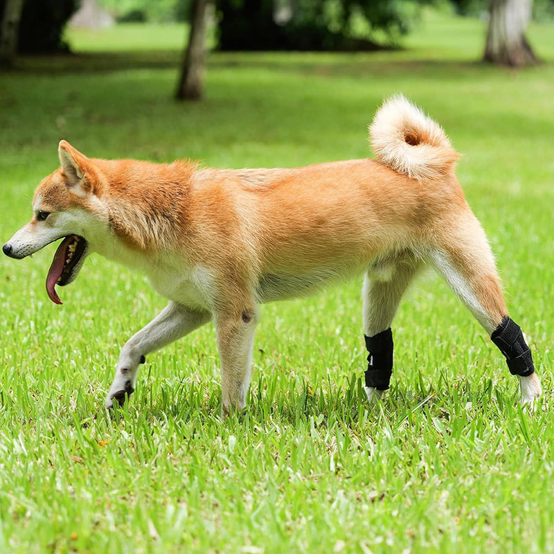 RC GearPro 2 Pack Dog Joint Brace Rear Leg Canine Hock Support - Dog Elbow Brace Compression Wrap Straps for ACL CCL Joint Injury and Sprain Protection, Healing and Loss of Stability (L) L