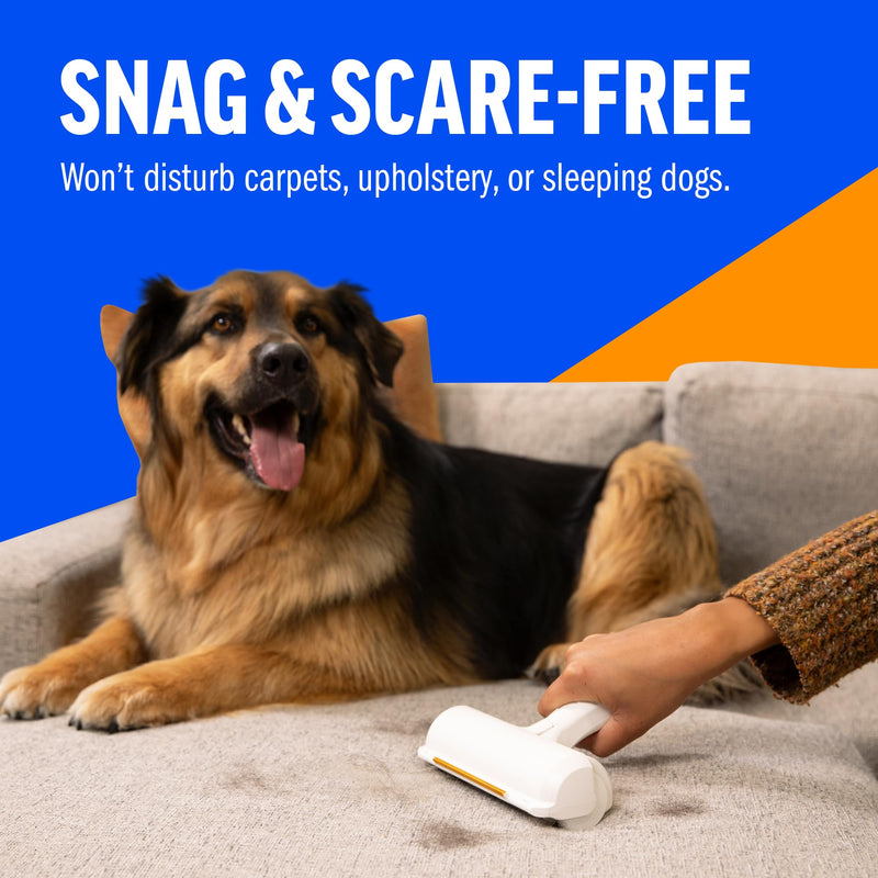 ChomChom Roller & Rake – Reusable Pet Hair Removal Roller with Rake Attachment for Cat & Dog Fur on Furniture, Couch, Carpet, Car, Rugs, Bedding & More– Portable, Eco-Friendly - PawsPlanet Australia