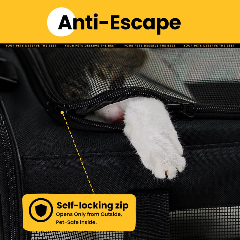 Cat Carrier Bag,Soft-Sided Pet Carriers for Dogs with 4-Sided Mesh,Airline Approved Cat Transport Carrier for Small&Medium Cats Kitten Puppy Up to 15Lb,Collapsible Cat Travel Carrier-M,Black M Black - PawsPlanet Australia