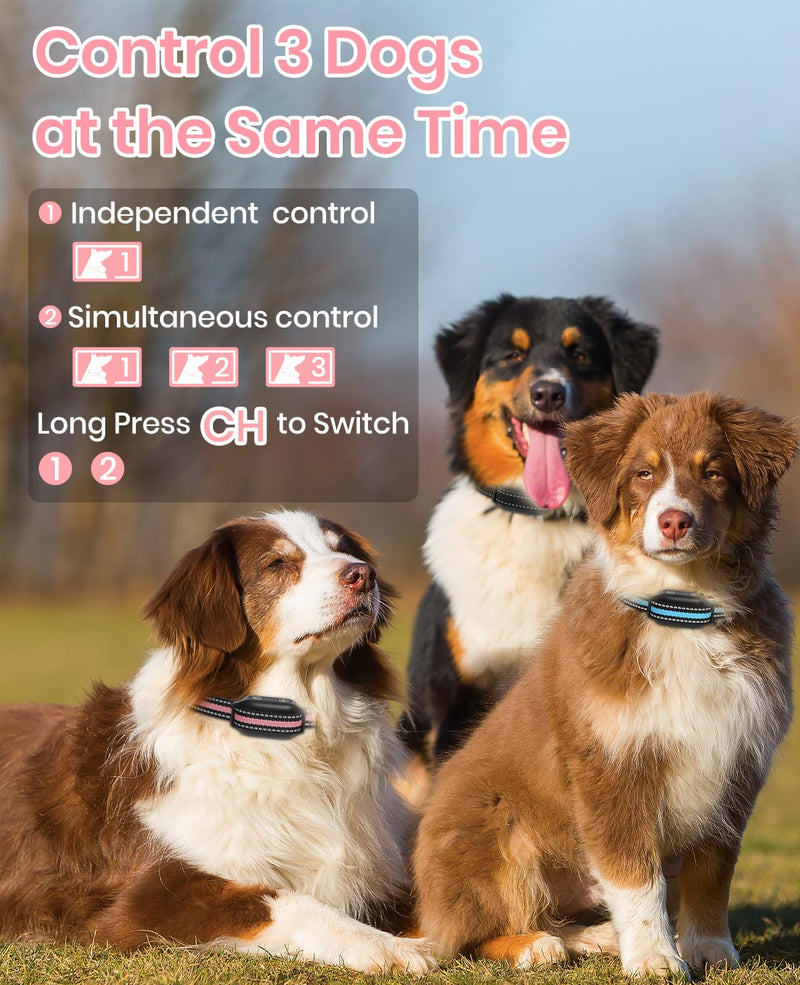 2 Dogs Bark Collar with Remote, 2-in-1 Bark and Shock Collar Combo, 3300Ft Dog Training Collar 2 Pack - Auto Anti Bark/Beep/Vibration/Shock, IP67 Smart E-Collar with 5 Adjustable Levels of Sensitivity Black+Pink - PawsPlanet Australia