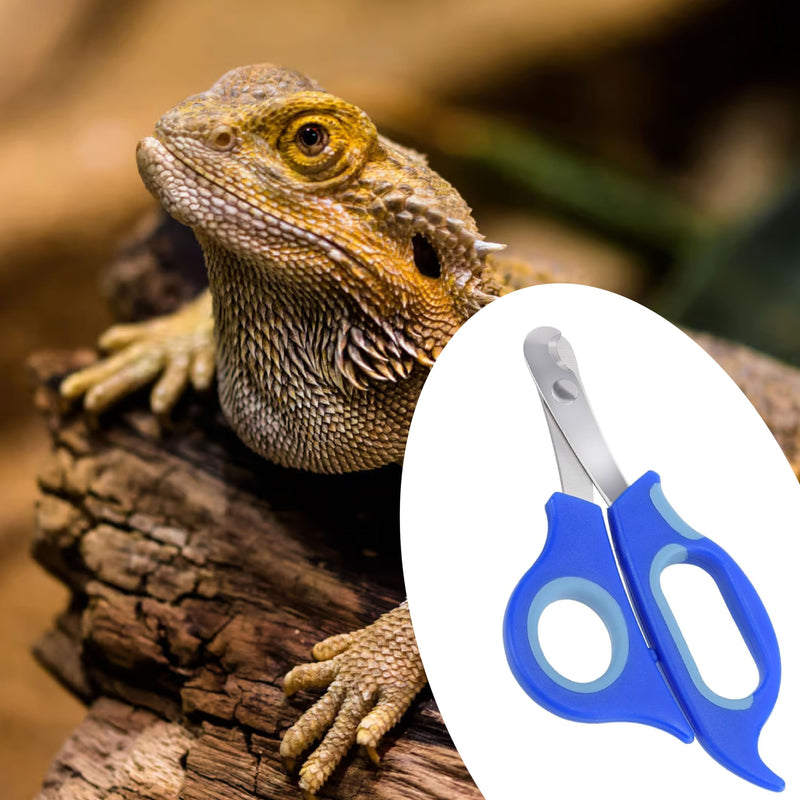 Bearded Dragon Nail Clippers with Precise Angled Edges, Stainless Steel Bearded Dragon Toe Nail Clippers Cat Claw Clippers with Nail File Paw Trimmer, Bearded Dragon Accessories Pet Grooming Tools - PawsPlanet Australia