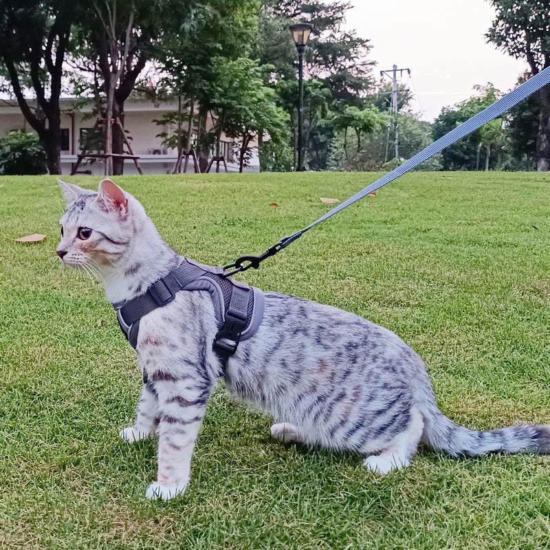 pangdi Cat Harness and Leash Set Escape Proof Tactical Large Kitten Harness Emotional Support Cat Vest, Grey, L 01 Grey - PawsPlanet Australia