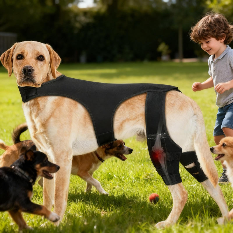 Dog Hip Bandage - Adjustable Knee Bandage with 4 Metal Stabilisers for Supporting the Hind Legs - for Hiking, Training, Outdoor Activities, Park, Travel, at Home black L