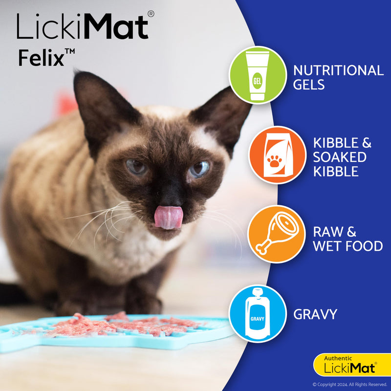 LickiMat Felix, Fish-Shaped Cat Slow Feeders Lick Mat, Boredom Anxiety Reducer; Perfect for Food, Treats, Yogurt, or Peanut Butter. Fun Alternative to a Slow Feed Cat Bowl or Dish, Turquoise