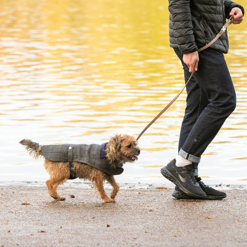 HUGO & HUDSON Tweed Dog Lead Training Leash, Caramel Checked Herringbone, 1.2m Length x 1.5cm Width XS/S