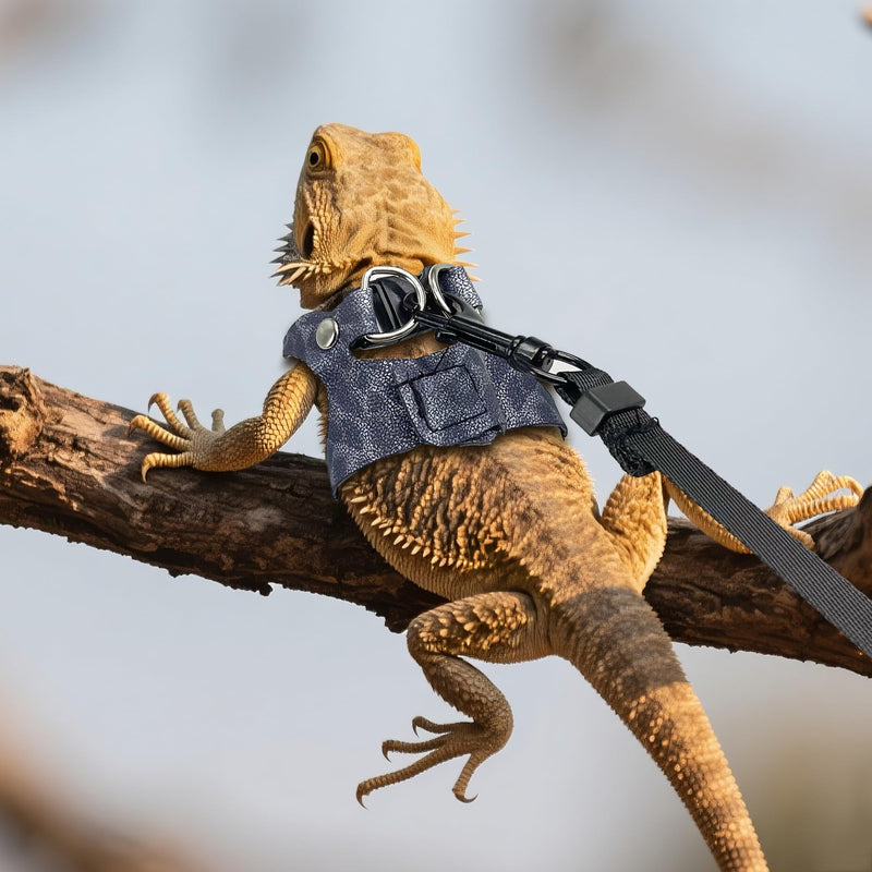 AIITLE 3 Pack Adjustable Bearded Dragon Harness and Leash Set - Leopard Print, Comfort Soft Leather Vest for Lizards, Iguanas, Guinea Pigs, Outdoor Camping & Walking, Blue - PawsPlanet Australia