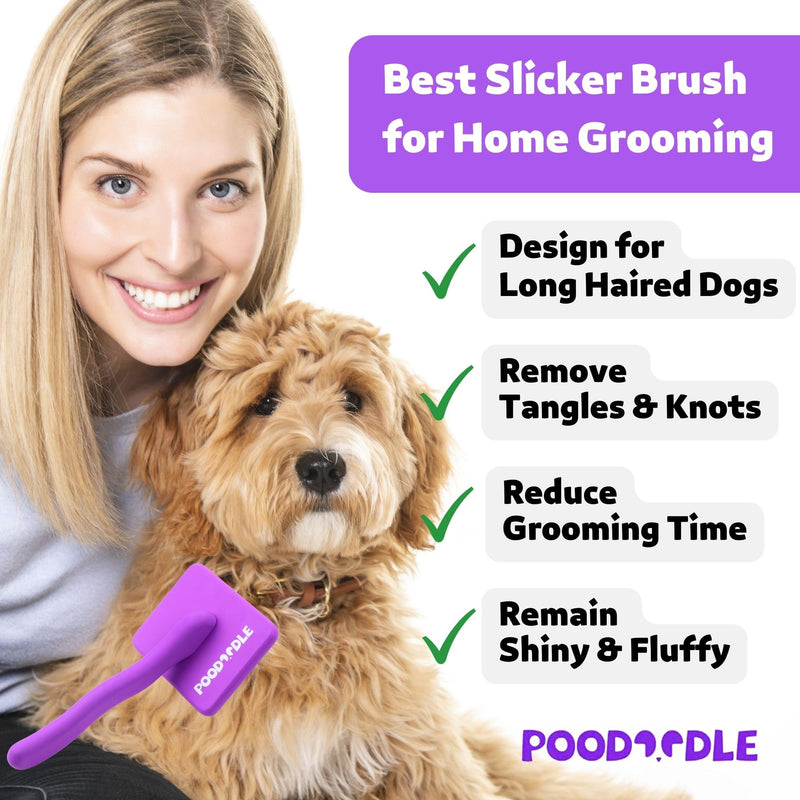 Dog Slicker Brush, Grooming Brush for Poodle, Doodle, Goldendoodle & All Long Haired Dogs, Long Pin Wood Brush Pefect for Dematting & Detangling, Effortless Grooming Pet Hair At Home - Large - PawsPlanet Australia