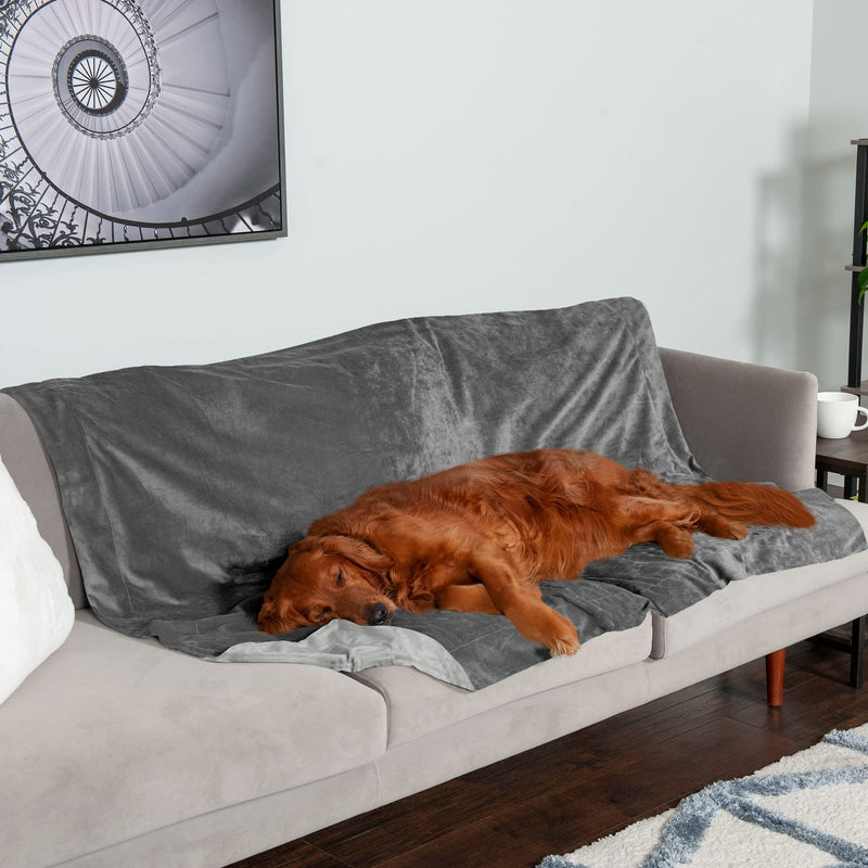 Furhaven Waterproof Throw Blanket for Dogs & Indoor Cats, Washable - Two-Tone Luxe Velvet Dog Blanket - Granite Gray, Extra Large/XL X-Large - PawsPlanet Australia