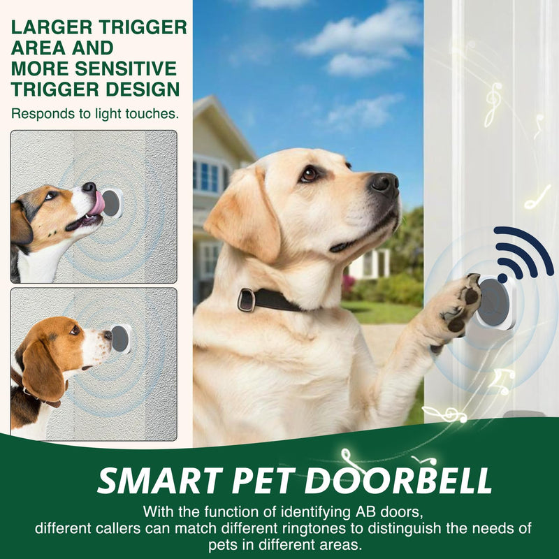 Dog Door Bell for Potty Training, Smart Wireless Doggie Doorbell to Go Outside, 1000 Feet Long Range with IP65 Waterproof Touch Button, 20 Melodies & Adjustable Volume (2 Button) - PawsPlanet Australia