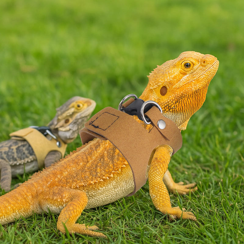 3 Pcs Bearded Dragon Harness and Leash Set Lizard Reptile Walking Leash Adjustable Soft Leather Vest Small Walking Vest Accessories with Traction Rope for Training Lizards Other Small Reptiles - PawsPlanet Australia