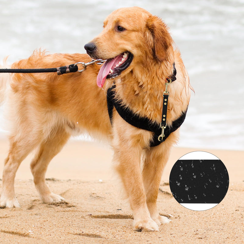 PetBonus Dog Collar Safety Clip, Waterproof Backup Safety Strap for Dog Harness to Prong Collar, Odor Proof Double Ended Clasp Leash Connector for Training Walking (Black) Black - PawsPlanet Australia
