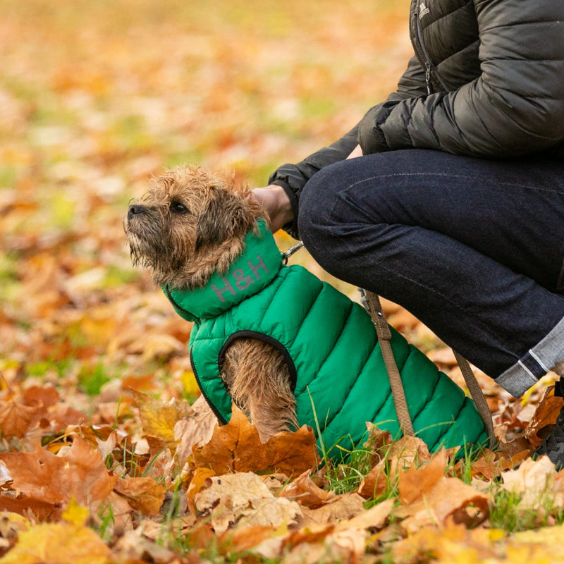 HUGO & HUDSON Tweed Dog Lead Training Leash, Caramel Checked Herringbone, 1.2m Length x 1.5cm Width XS/S