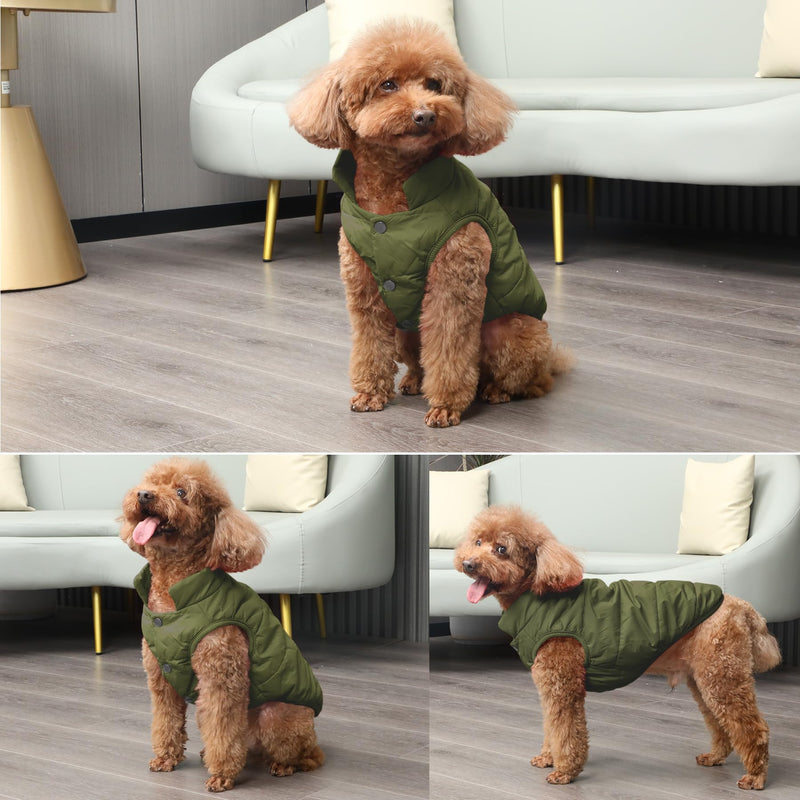 2 Layers Fleece Lined Warm Dog Jacket for Puppy Winter Cold Weather,Soft Windproof Small Dog Coat,Green M Medium (Pack of 1) Green