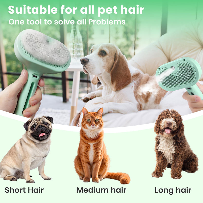 Cat Steam Brush 3 in 1 Steamy Pet Hair Removal Comb Brush Self Cleaning Anti Static Effective Hair Removal Cat Grooming (Green) Green - PawsPlanet Australia