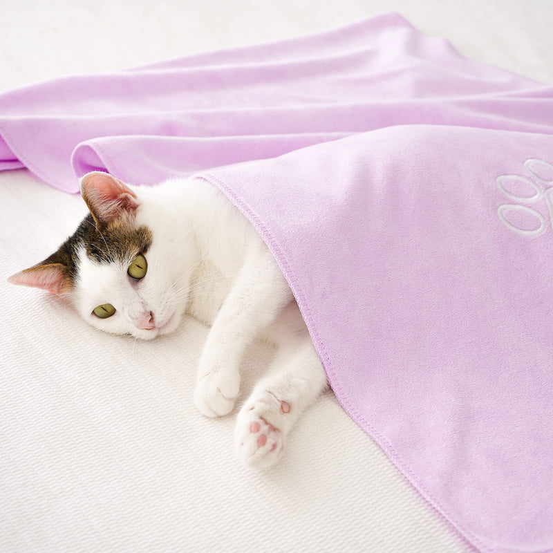 Unconditional Love | Premium Pet Drying Towel | Ultra Absorbent and Soft Microfiber Towel for Dogs and Cats (Lilac) Lilac Large - PawsPlanet Australia