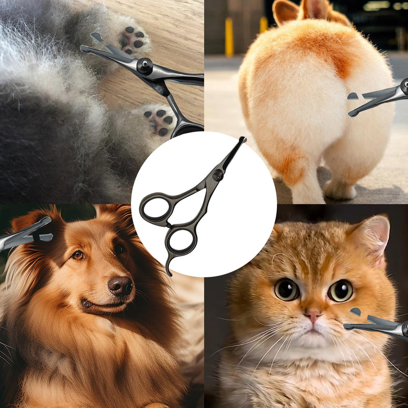 Dog Scissors for Care of Face and Paws, Ears and Eyes, Length 5.3 Inch Cat, Safety Round Tip Grooming Scissors, Titanium Coated Stainless Steel Fur Titanium - Scissors for Face/Legs/Ears