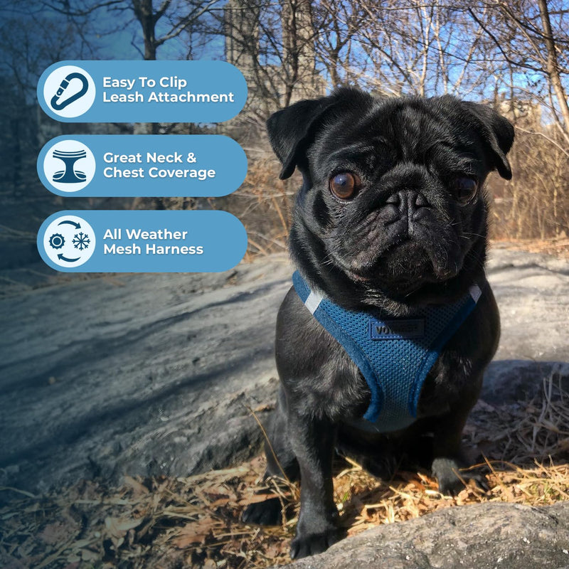 Voyager Step-in Air All Weather Mesh Harness and Reflective Dog 5 ft Leash Combo with Neoprene Handle, for Small, Medium and Large Breed Puppies by Best Pet Supplies - Harness Leash Set (Blue), L Harness Leash Set (Blue) L (Chest: 18 - 20.5") - PawsPlanet Australia