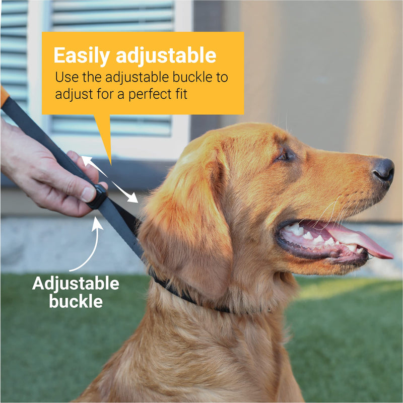 SVD.PET Dog Prong Collar for No-Pull Training, Quick-Release Buckle Adjustable Pinch Collar for Small Dogs (Black, Small size) Black - PawsPlanet Australia