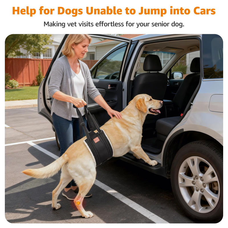 LOOBANI Dog Lift Harness for Back Legs, Portable Dog Sling for Large Dogs Hind Leg Support, Comfortable Leg Support Assistance for Elderly Dogs with Hip, ACL Brace, Senior, Injured - PawsPlanet Australia