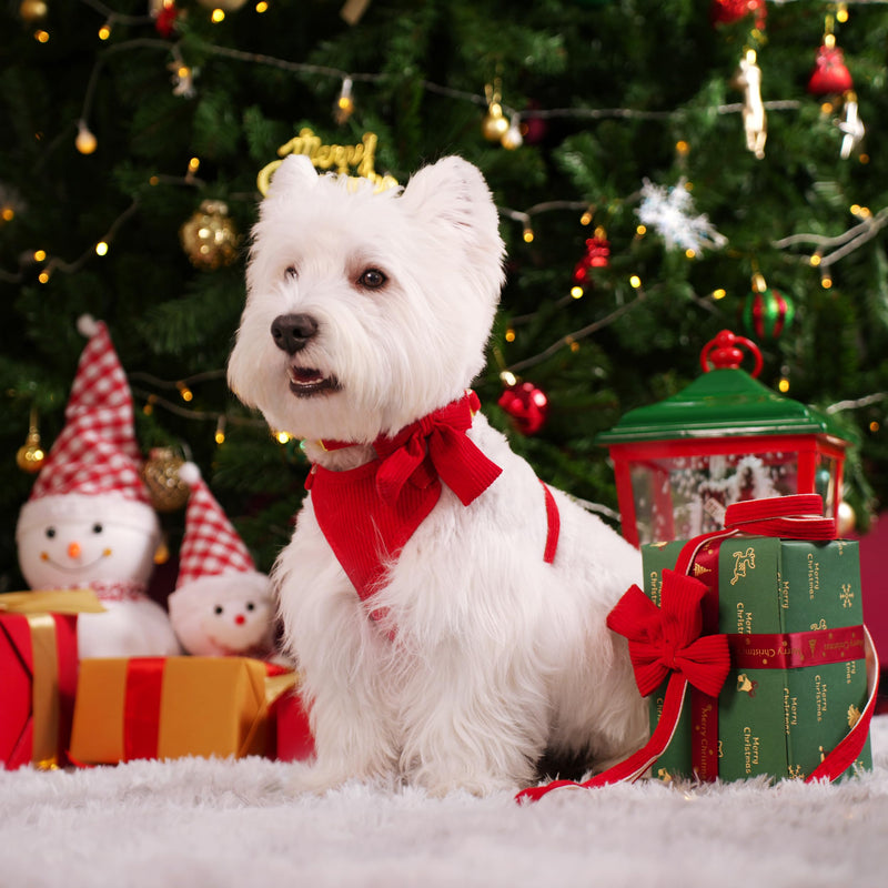 Didog Cute Small Dog Harness Collar and Leash Set with Bowtie, Breathable Soft Mesh Padded Puppy Harness, Christmas Dog Harness for for Parties, Holiday Gatherings & Gifts, Red, M M: Chest 15.7-20.8" - PawsPlanet Australia