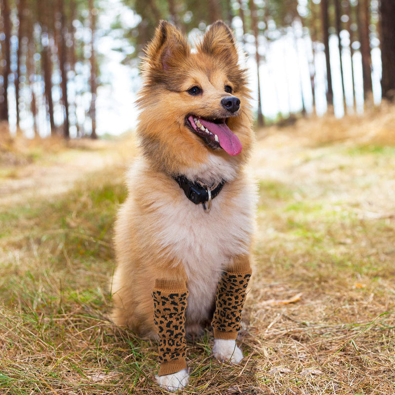 Geyoga 2 Sets Knitted Pet Leg Warmers Elastic Pet Leg Hock Protectors Warm Dog Hock Covers Pet Leg Sleeves for Medium and Large Dogs, XL - PawsPlanet Australia