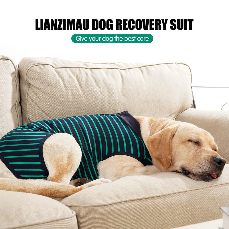 LIANZIMAU Dog Surgical Recovery Suit Onesie Breathable Abdominal Wounds and Protect Skin Anti Licking Cone E Collar Alternative After Post-Operation Wear L Green stripe