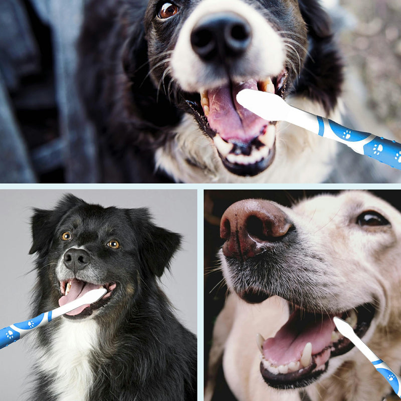 Leoezx™ Professional Pet Toothbrush(4Pcs), Dog & Cat Soft Bristle Double-Sided Brush Head Set, Pet Brushing Teeth to Clean Teeth to Reduce Tartar Buildup, Pet Dental Care Essentials - PawsPlanet Australia