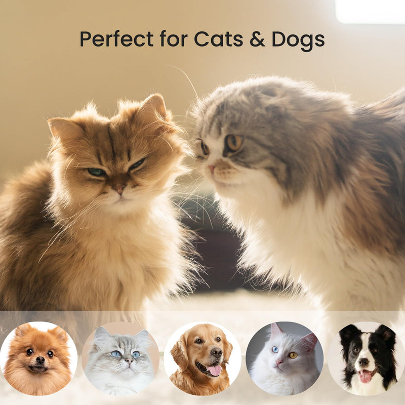 PawRake, Cat and Dog Brush for Shedding and Undercoat Dematting, Pet Grooming Tool for Medium to Long Hair Pets, Skin-Safe and Lightweight - PawsPlanet Australia