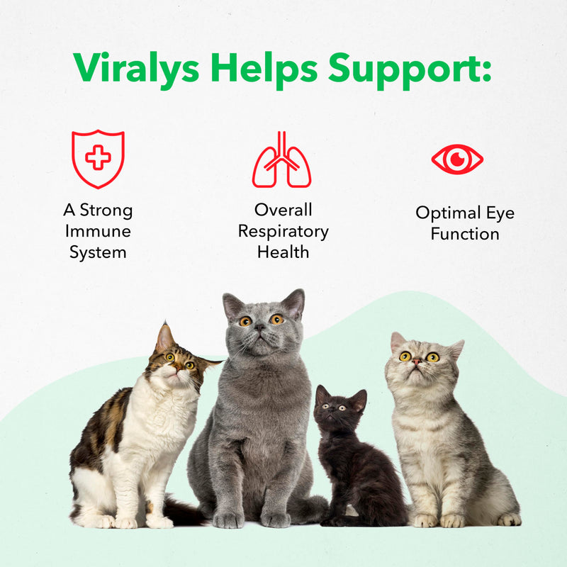 Vetoquinol Viralys Gel L-Lysine Supplement for Cats, 5oz - Cats & Kittens of All Ages - Immune Health - Sneezing, Runny Nose, Squinting, Watery Eyes - Palatable Maple Flavor Lysine Gel 5 oz