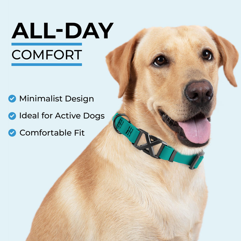 DogTraxs - Light Duty Dog Collar - Biothane Dog Collar - for Large Dogs - Waterproof & Odor Resistant - Quick Release Plastic Buckle Style - Made in USA - 1" W x 19-22" L – Teal Large - 1" W x 19-22" L