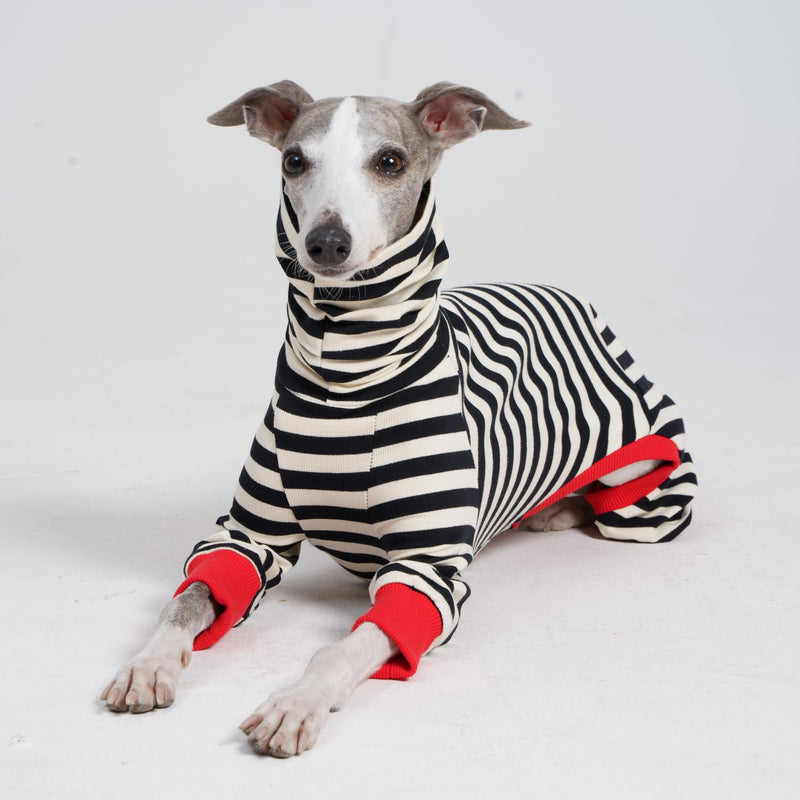 Italian Greyhound Onesie Clothes, Turtleneck Striped Shirt for Whippets Puppy, Light and Thin Shirt for Spring and Summer (Small) Small - PawsPlanet Australia